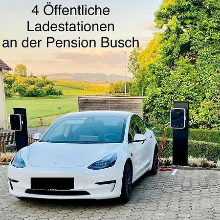 Busch * Salem (Baden-Wurttemberg)